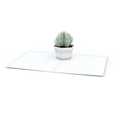 Load image into Gallery viewer, Succulent Notecards (Assorted 4-Pack)