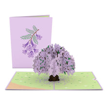Load image into Gallery viewer, Garden 12 Pack