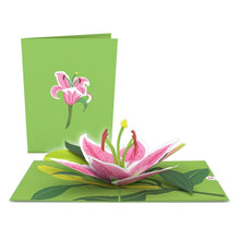 Load image into Gallery viewer, Garden 3 Pack