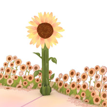 Load image into Gallery viewer, Sunflower Sunrise