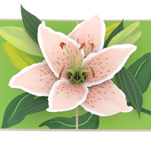 Load image into Gallery viewer, Mother's Day Lily Bloom