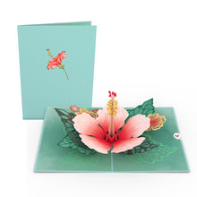 Load image into Gallery viewer, Garden 12 Pack