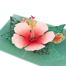 Load image into Gallery viewer, Hibiscus Bloom