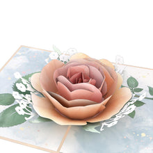 Load image into Gallery viewer, Peach Rose Bloom