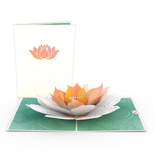 Load image into Gallery viewer, Garden 12 Pack