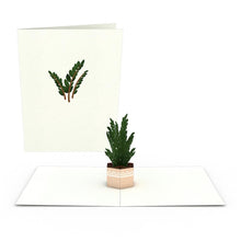 Load image into Gallery viewer, Plants Notecards (Assorted 4-Pack)