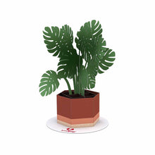 Load image into Gallery viewer, Stickerpop™: Monstera (1 Pack)