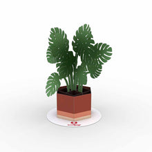 Load image into Gallery viewer, Stickerpop™: Monstera (5 Pack)