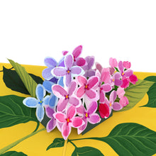 Load image into Gallery viewer, Lilacs