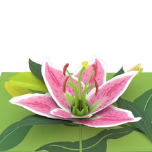 Load image into Gallery viewer, Lily Bloom