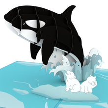 Load image into Gallery viewer, Orca Whale