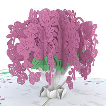 Load image into Gallery viewer, Orchid Arrangement