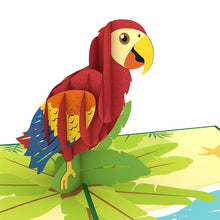 Load image into Gallery viewer, Parrot