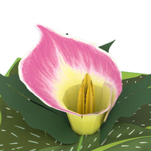 Load image into Gallery viewer, Pink Calla Lily