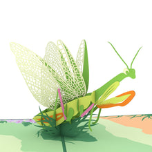 Load image into Gallery viewer, Praying Mantis