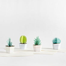 Load image into Gallery viewer, Succulent Notecards (Assorted 4-Pack)