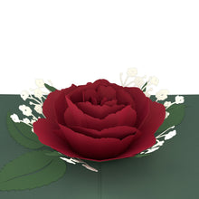 Load image into Gallery viewer, Red Rose Bloom
