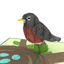 Load image into Gallery viewer, Robin