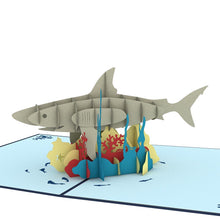 Load image into Gallery viewer, Shark