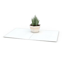 Load image into Gallery viewer, Succulent Notecards (Assorted 4-Pack)