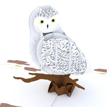 Load image into Gallery viewer, Snowy Owl