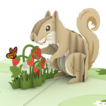Load image into Gallery viewer, Squirrel