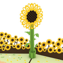 Load image into Gallery viewer, Sunflower