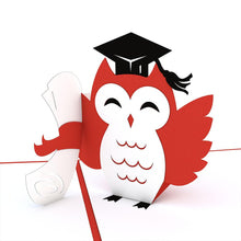 Load image into Gallery viewer, Graduation Owl
