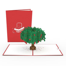 Load image into Gallery viewer, Tree 12 Pack
