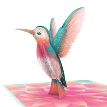 Load image into Gallery viewer, Lovely Hummingbird
