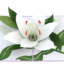Load image into Gallery viewer, Sympathy Lily
