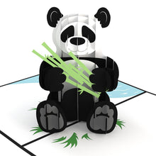 Load image into Gallery viewer, Panda Bear
