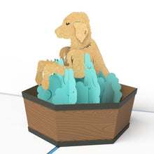 Load image into Gallery viewer, Puppy Bath Time
