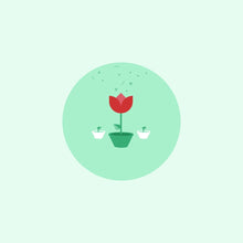 Load image into Gallery viewer, Pack of the Month - Favorites

